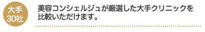 大手30社：美容コンシェルジュが厳選した大手クリニックを比較いただけます。